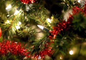 Manter a Árvore de Natal Limpa